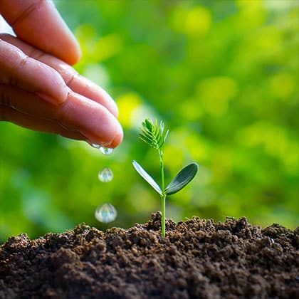 Home 11 pelican biothermal cold chain survey